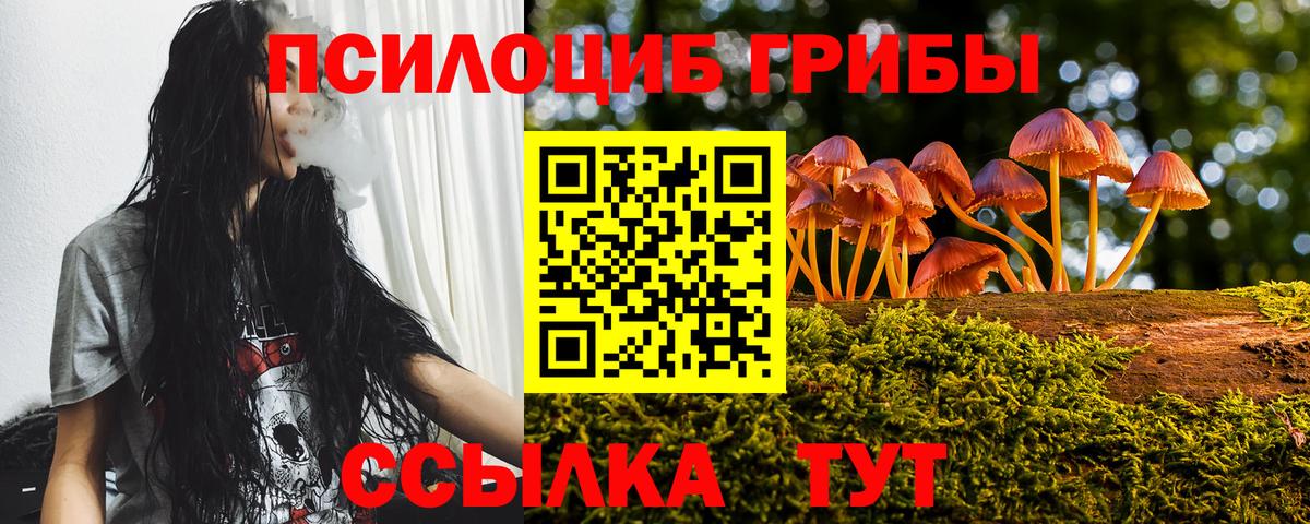 Железноводск  Галлюциногенные грибы прущие грибы  Вход с VPN 