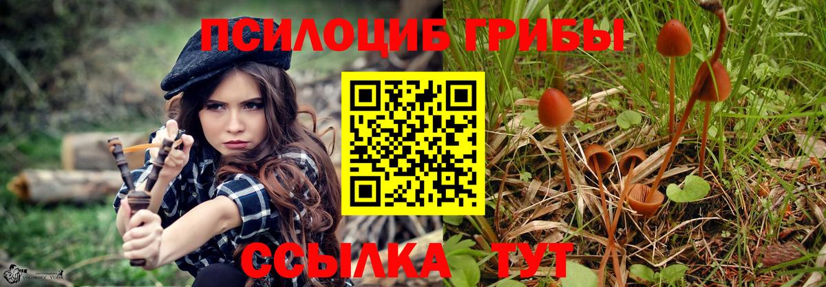 Галлюциногенные грибы прущие грибы Железноводск